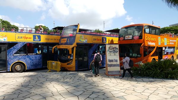 シンガポール「Singapore」の写真：周遊バス
フードコート