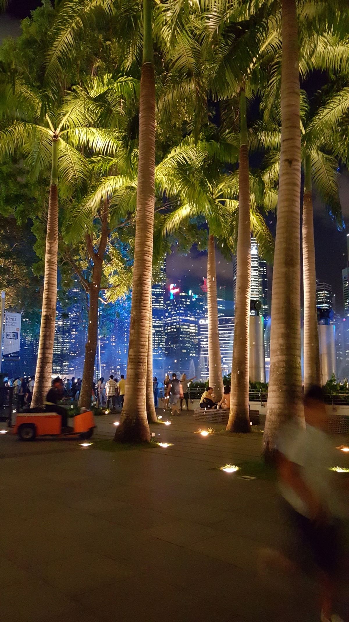 マリーナエリア