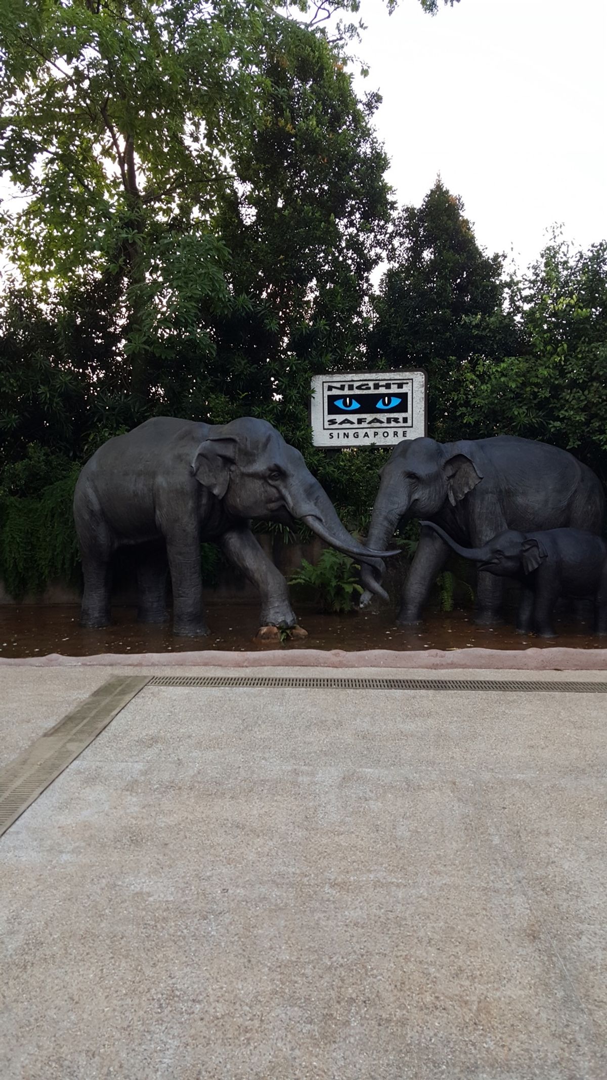 ナイトサファリ