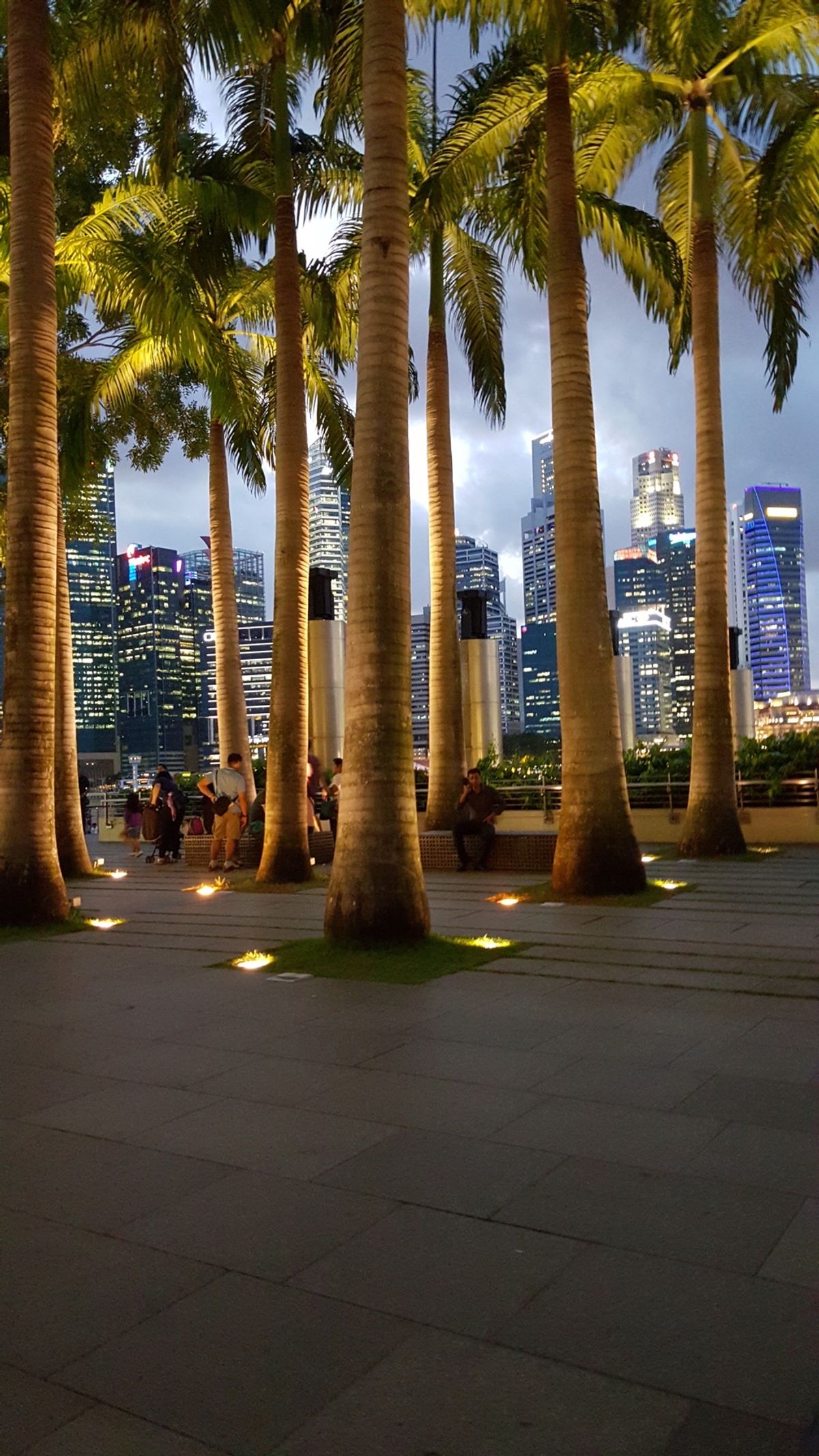 マリーナエリア