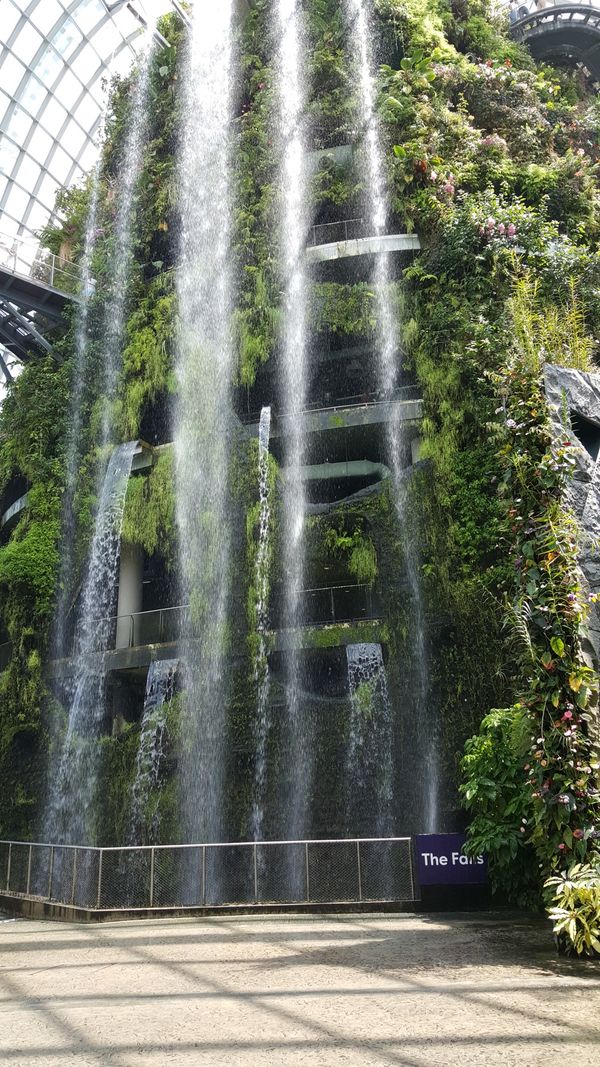 シンガポール「Singapore」の写真：ガーデンズ・バイザ・ベイ②