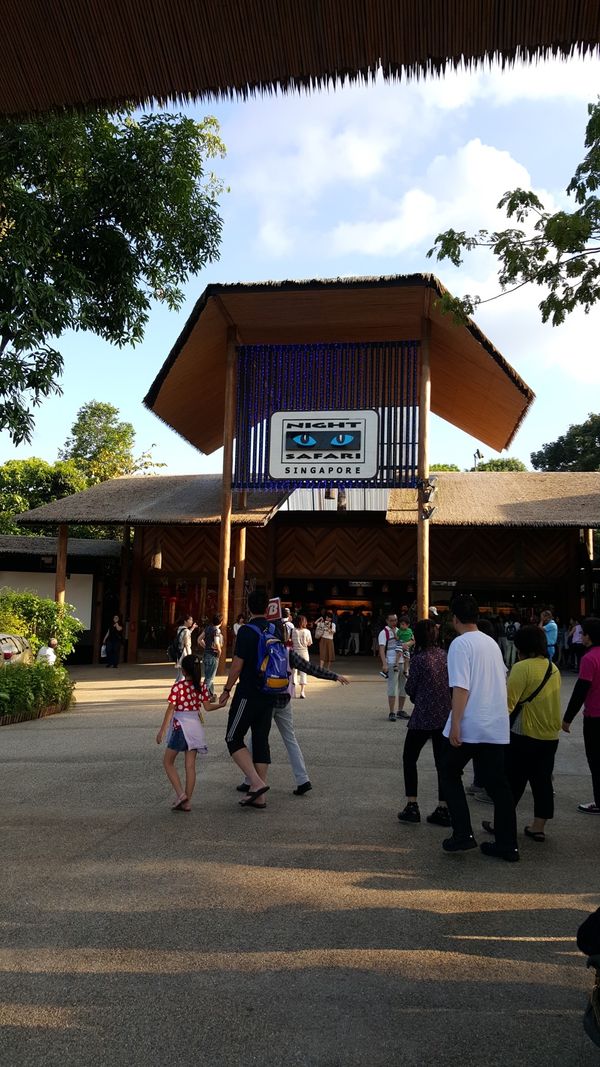 シンガポール「Singapore」の写真：ナイトサファリ