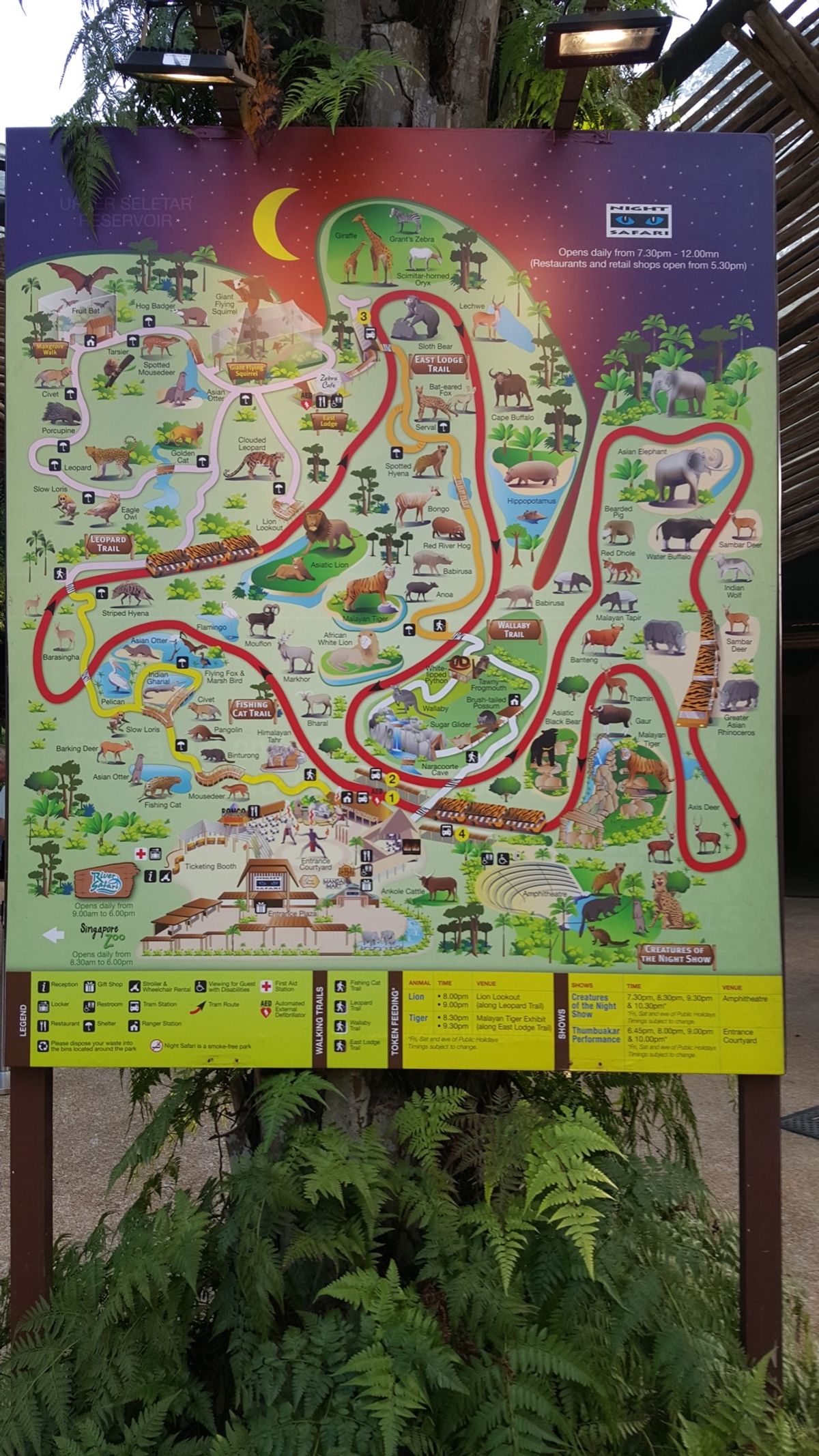 ナイトサファリ