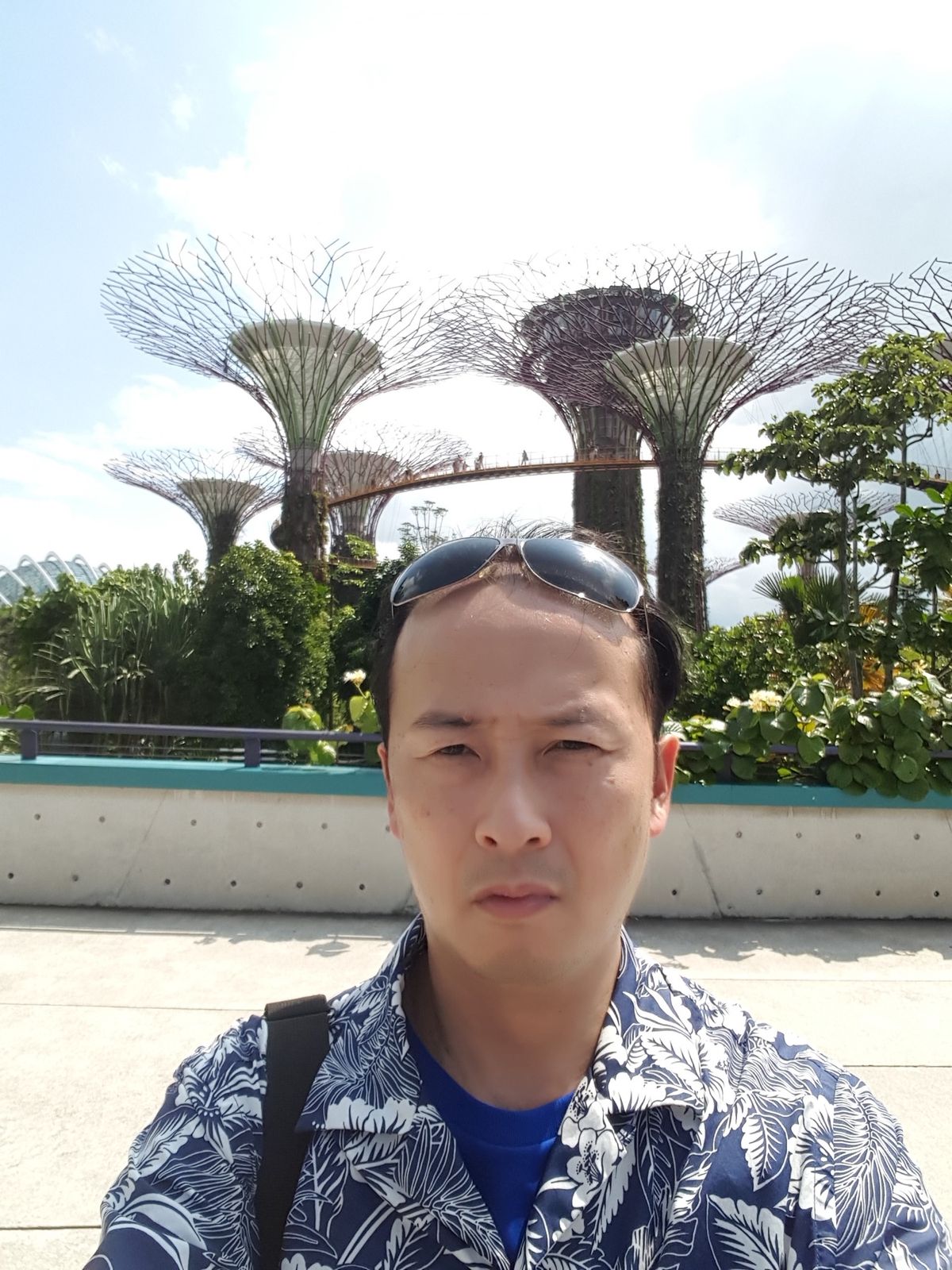 ガーデンズ・バイザ・ベイ①