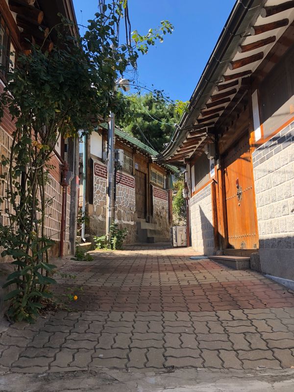 大韓民国 (韓国)・ソウル「韓国一人旅」の写真：北村
伝統家屋がたくさんあるスポット
雰...