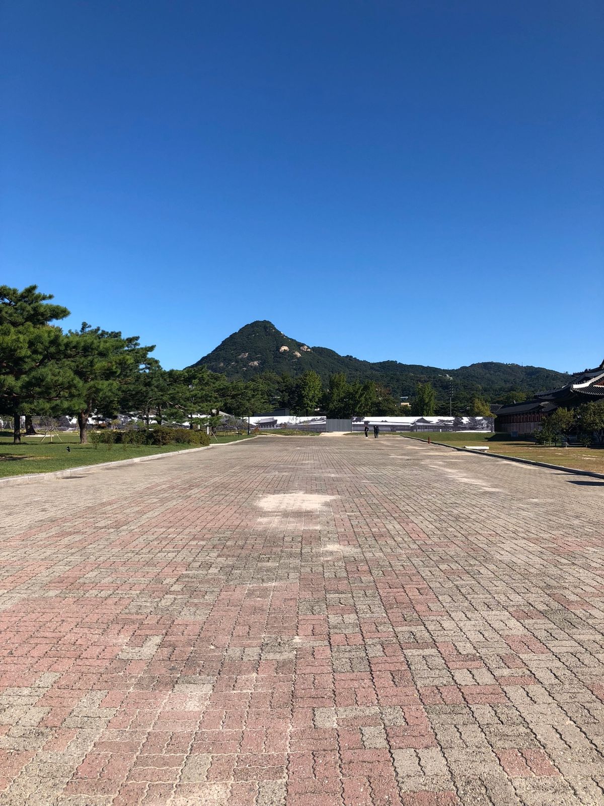 景福宮
ここはソウル一のパワースポットらしい！！晴天だったのもあって気分が...