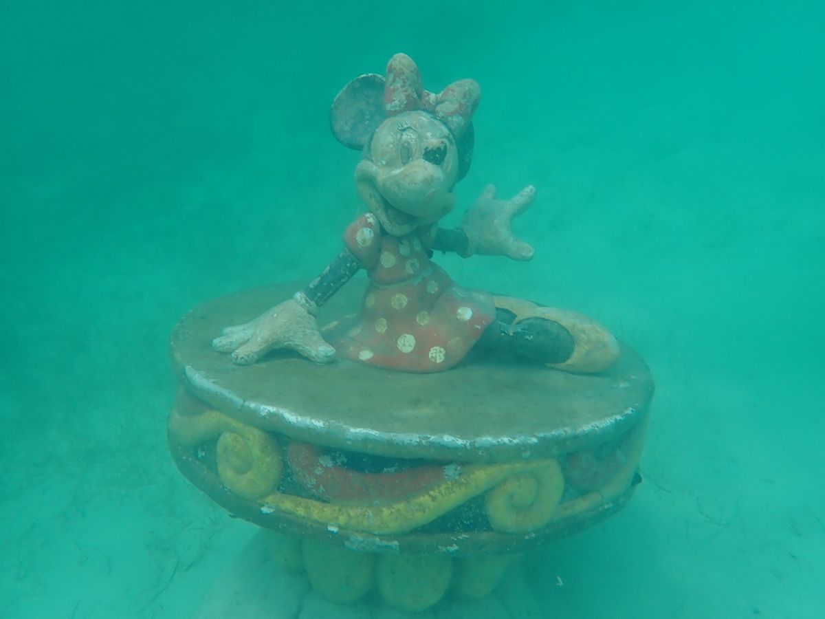 バハマ　キャスターウェイケイ