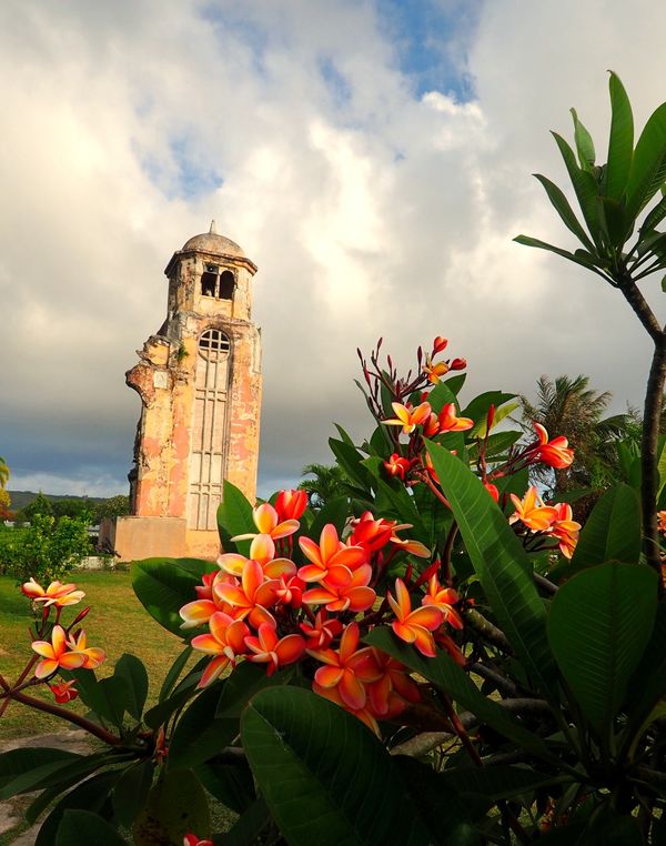 北マリアナ諸島・テニアン「サイパン  テニアン  ロタ  海と戦跡へ」の写真：テニアン 