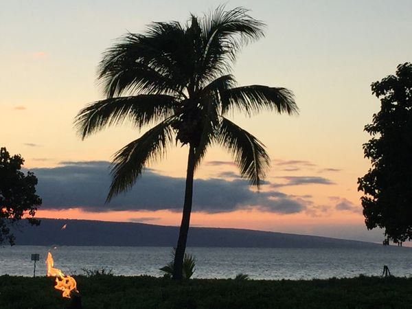 アメリカ(米国)「ハワイ　マウイ島」の写真