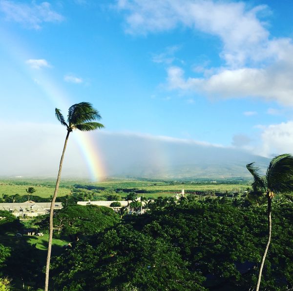 アメリカ(米国)「ハワイ　マウイ島」の写真