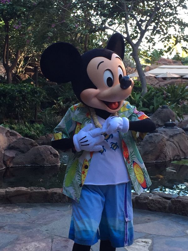 アメリカ(米国)「ハワイ　オアフ島」の写真：アウラニ