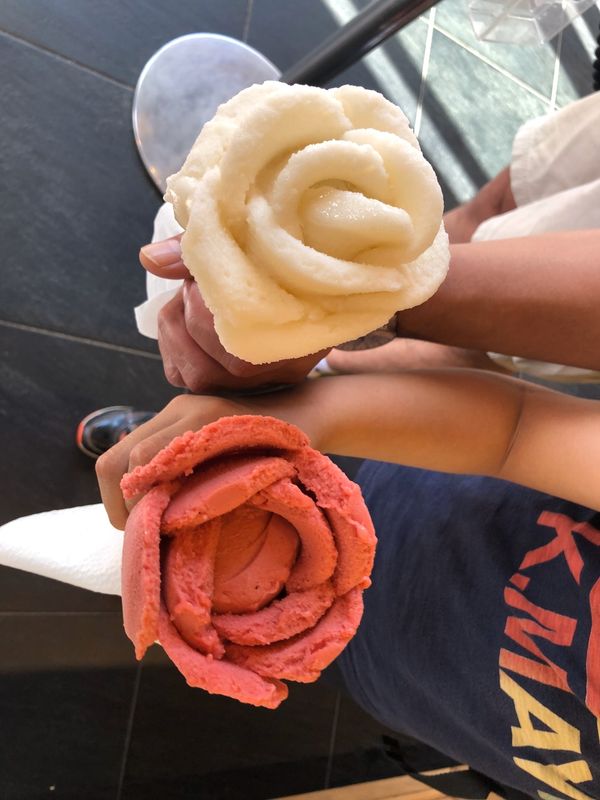 ニューカレドニア「ニューカレドニア　ヌメア」の写真：アモリーノ　