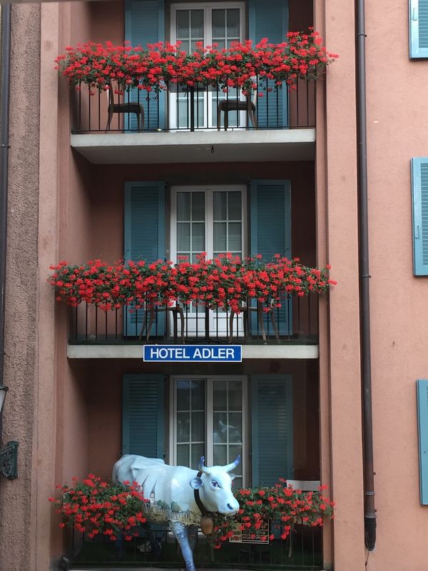 スイス「スイス　チューリッヒ」の写真