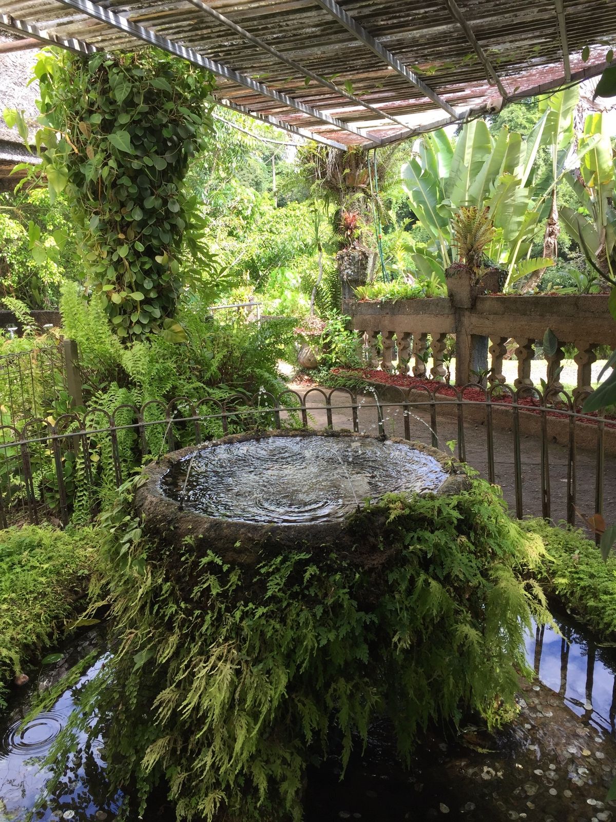 パロネラパーク