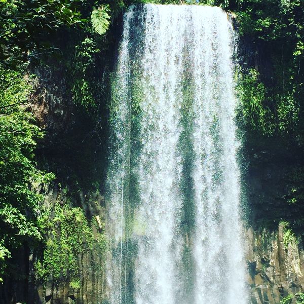オーストラリア連邦「オーストラリア　ケアンズ」の写真：ミラミラの滝