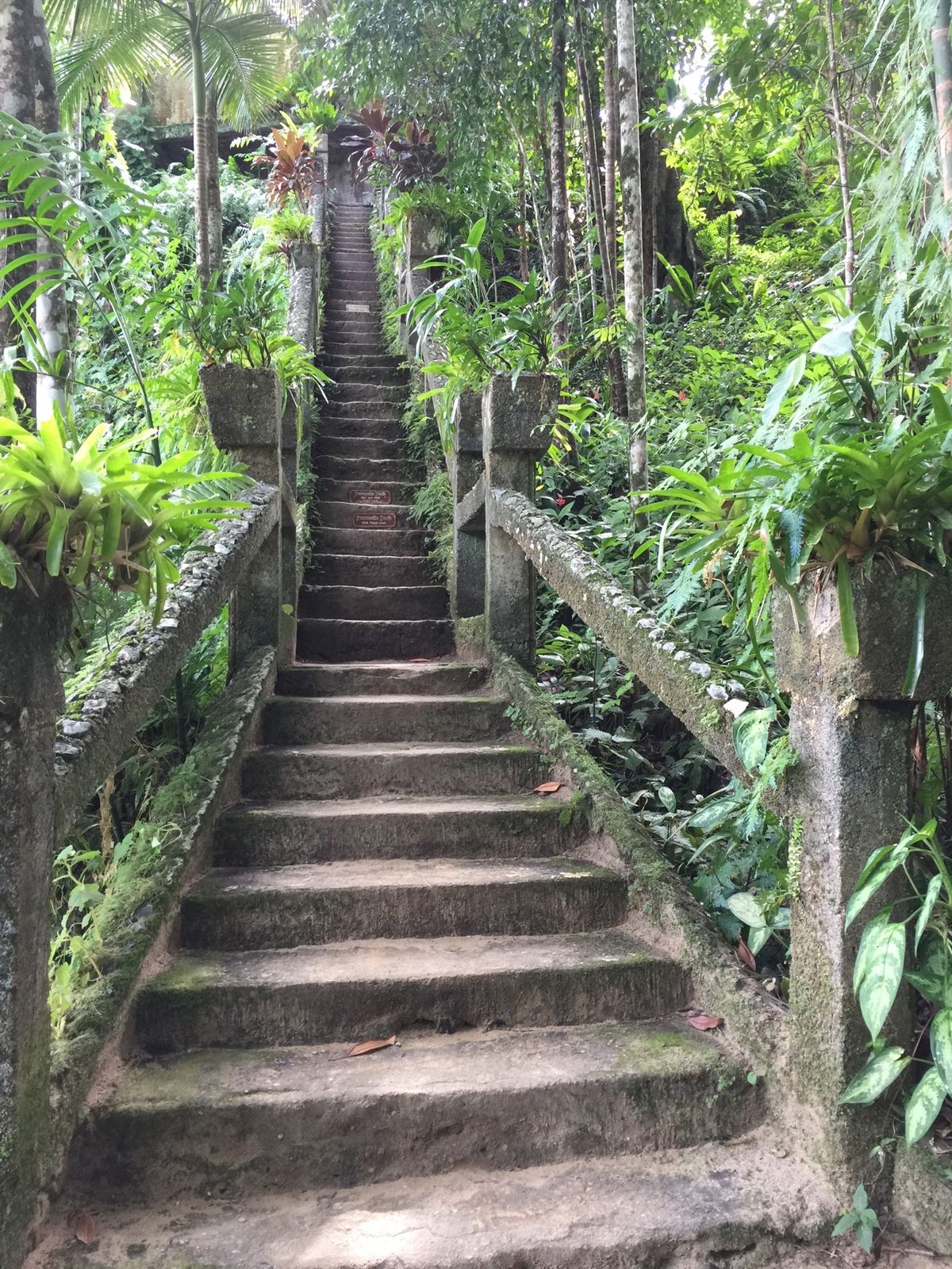 パロネラパーク