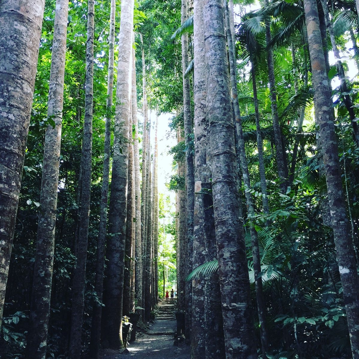 パロネラパーク