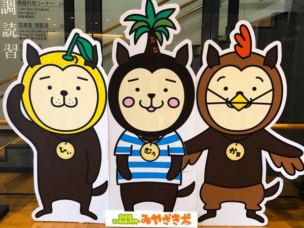 日本・宮崎市、「宮崎帰省」の写真