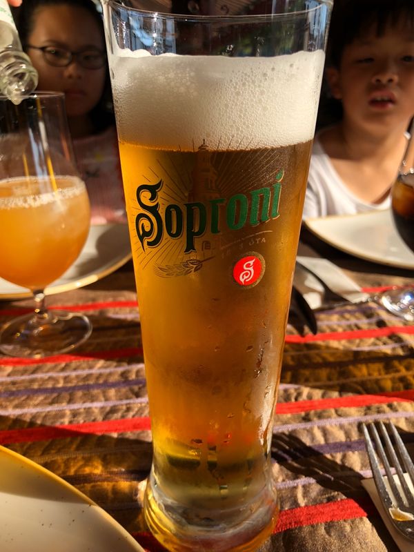 ハンガリー「ハンガリー　ブタペスト」の写真：ハンガリー料理
赤いスープがすごく美味し...