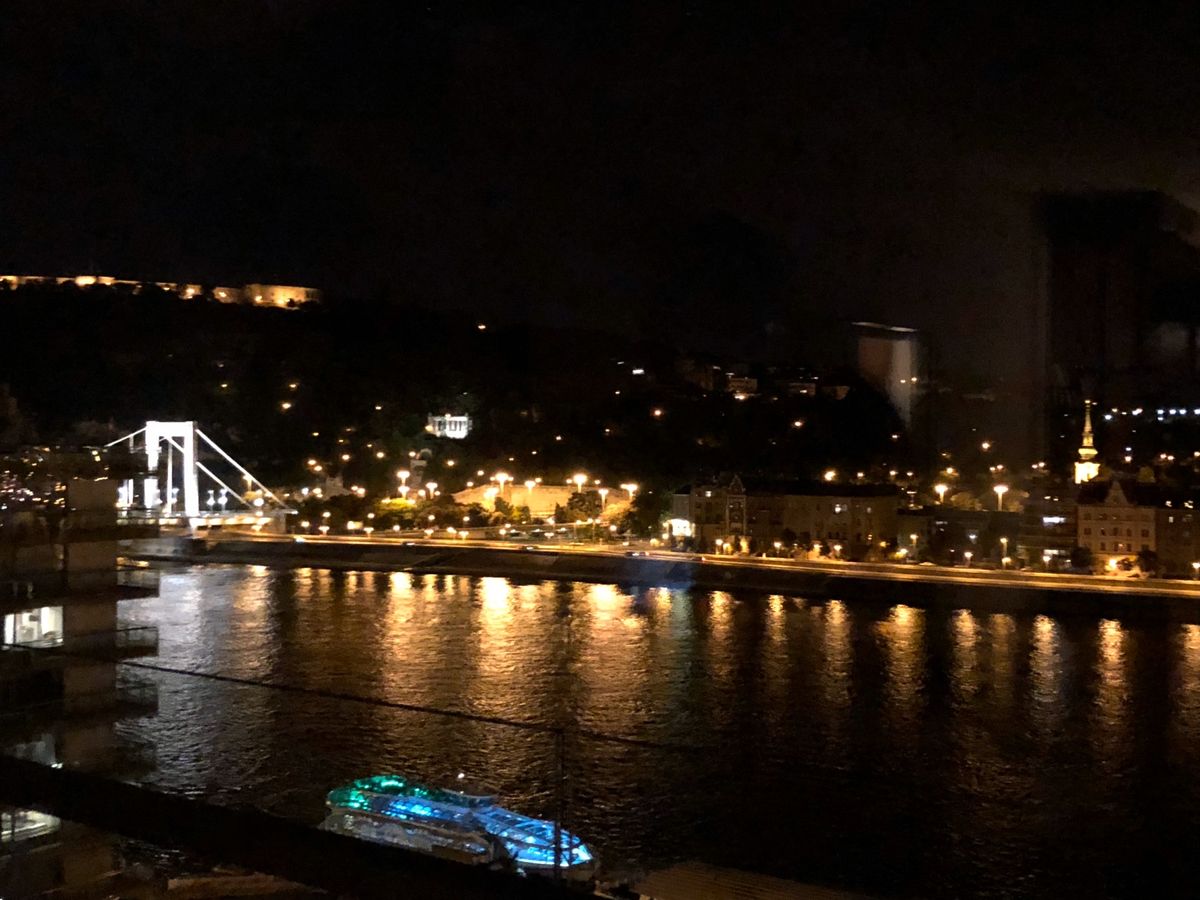 ホテルの部屋からブダの王宮