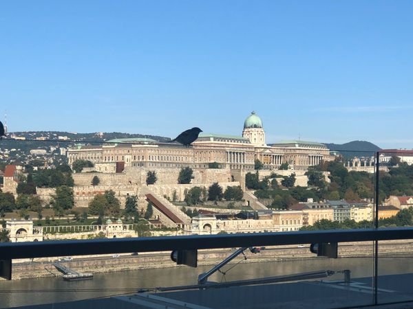 ハンガリー「ハンガリー　ブタペスト」の写真
