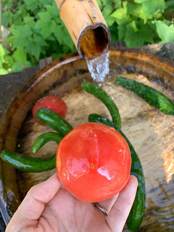 日本・日光「栃木へ！女子旅‼︎」の写真：朝風呂後の新鮮野菜！嬉しいサービス😆