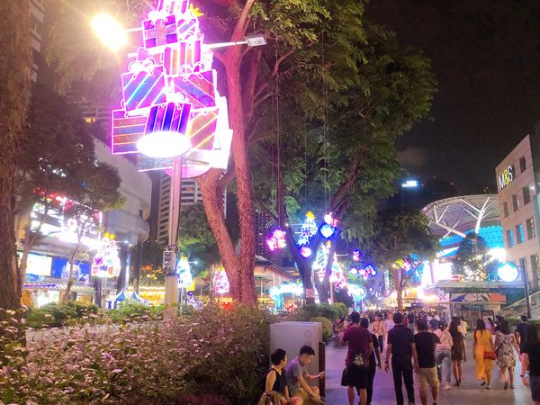 シンガポール「シンガポール3」の写真：クリスマスイルミネーション🎄