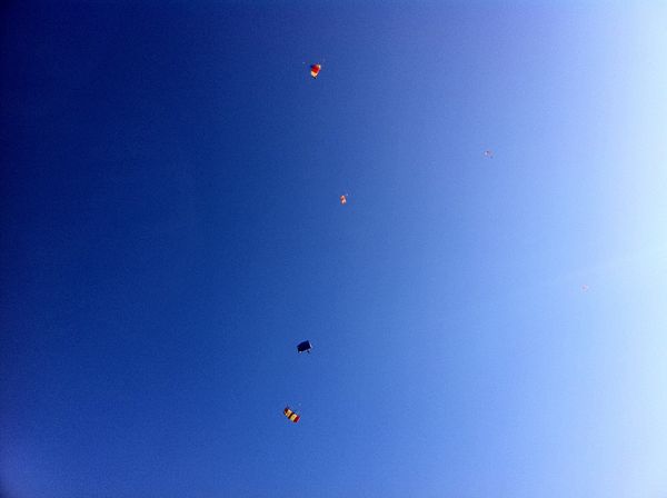 アメリカ(米国)・ホノルル「初ハワイ」の写真：翌朝、スカイダイビングへ
そういえばこの...