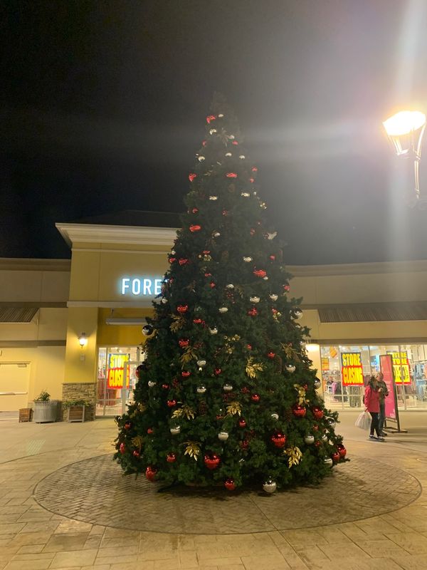 アメリカ(米国)・アッシュビル　「アメリカ」の写真