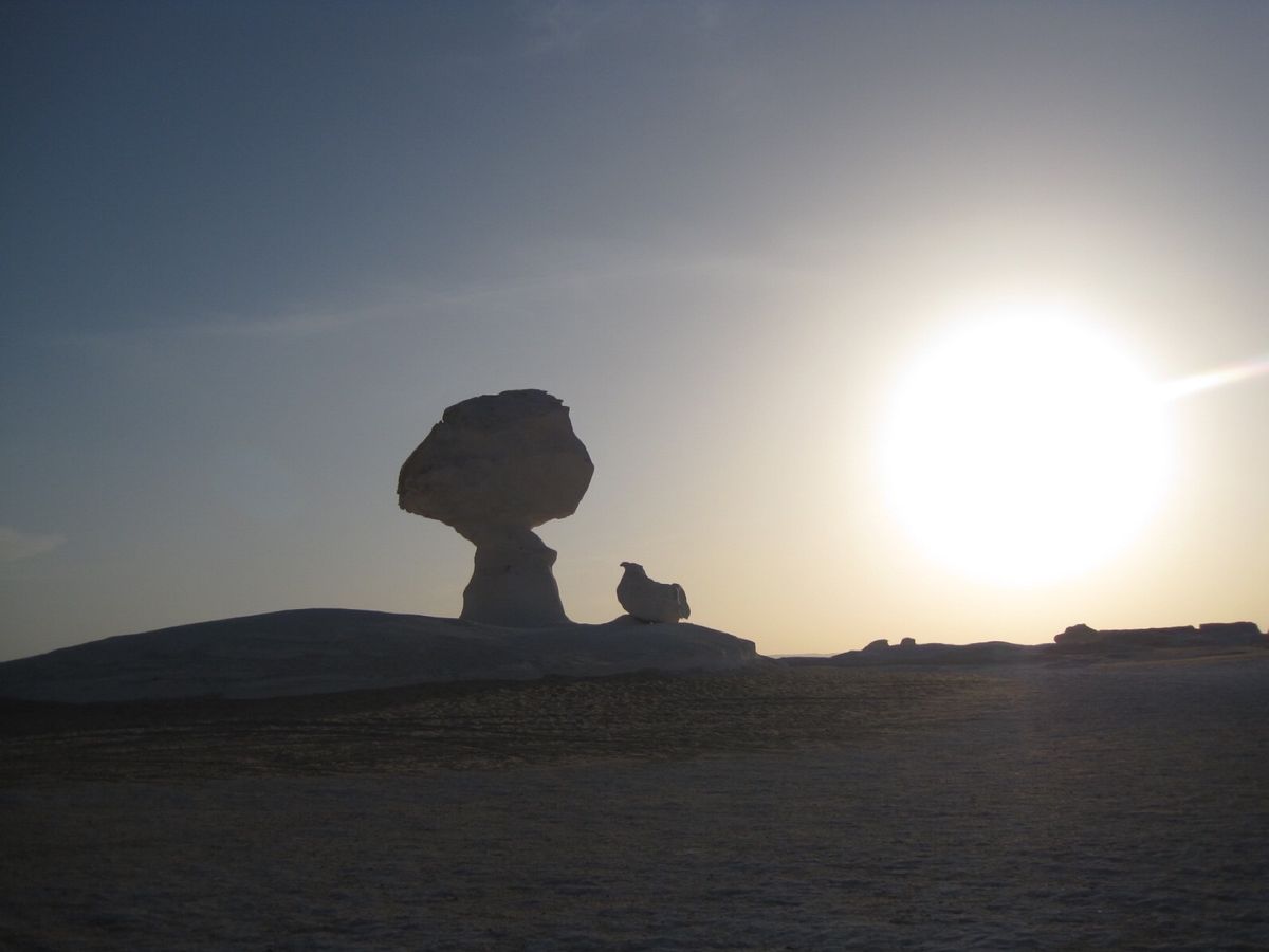 白砂漠は風が創り上げた奇妙で美しい世界
音もない砂漠の真ん中で、個人ツアー...