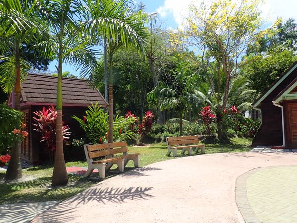 ジャマイカ「ジャマイカ　ファルマス」の写真