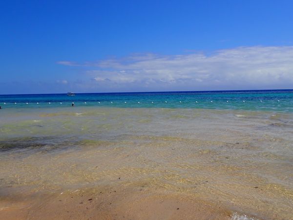 ジャマイカ「ジャマイカ　ファルマス」の写真