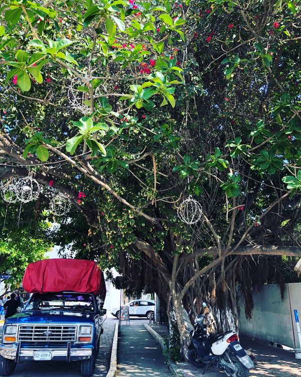 メキシコ「メキシコ」の写真