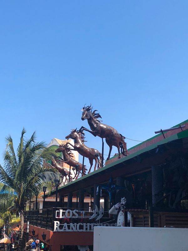メキシコ「メキシコ」の写真
