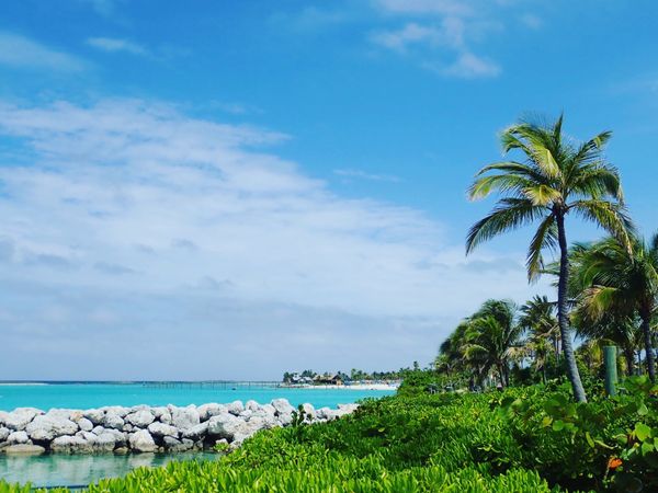 バハマ「バハマ　キャスターウェイケイ」の写真