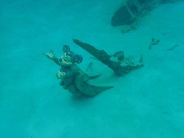 バハマ「バハマ　キャスターウェイケイ」の写真