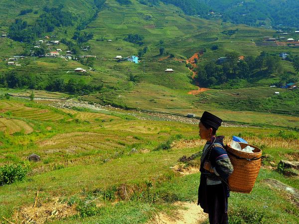 ベトナム・サパ「棚田の広がるベトナムの高地　サパトレッキング」の写真：サパの街から一歩踏み出すと山一面に棚田が...