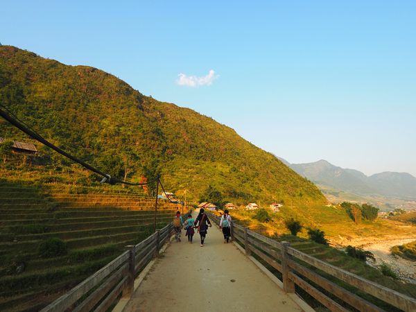 ベトナム・サパ「棚田の広がるベトナムの高地　サパトレッキング」の写真：サパの街から一歩踏み出すと山一面に棚田が...