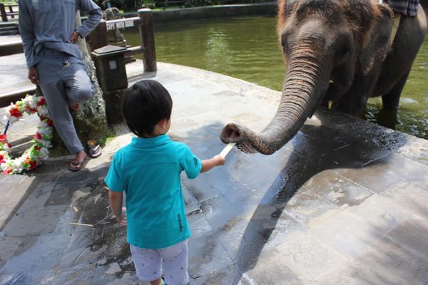 インドネシア「インドネシア　バリ島」の写真