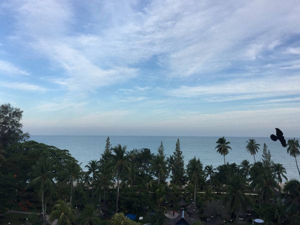 マレーシア「マレーシア　ペナン島」の写真