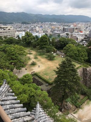 高知城