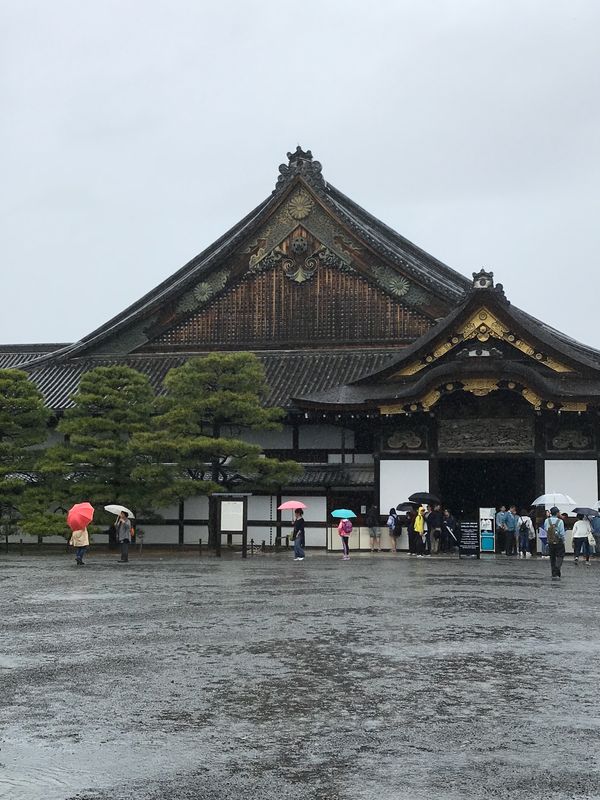 日本「京都」の写真：雨の二条城
