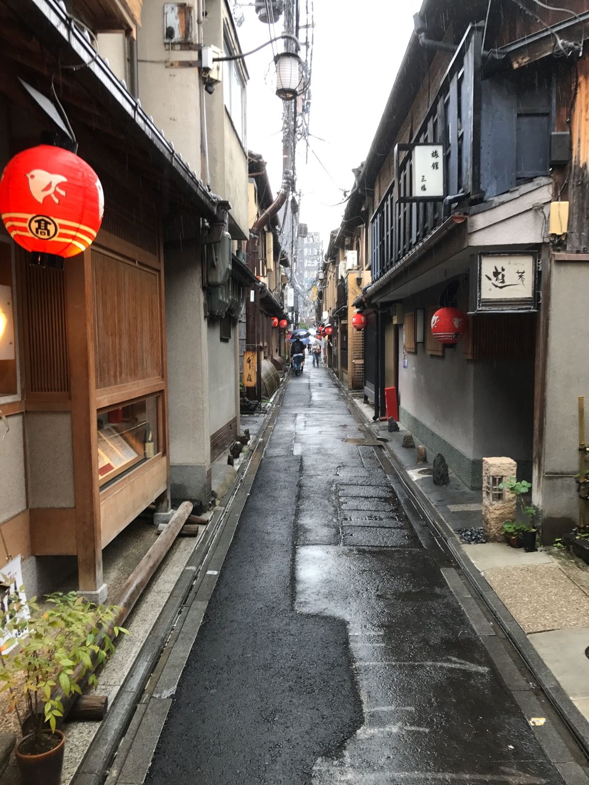 先斗町　ふじ田　懐石料理①