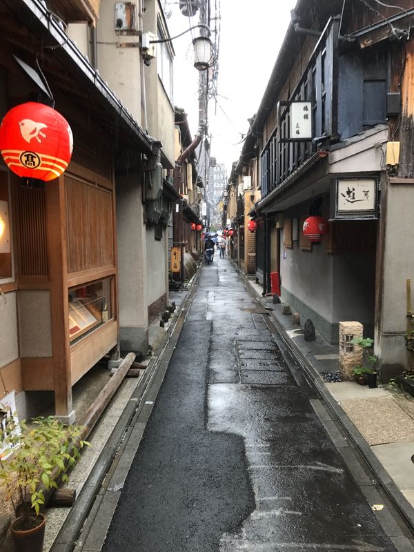 日本「京都」の写真：先斗町　ふじ田　懐石料理①