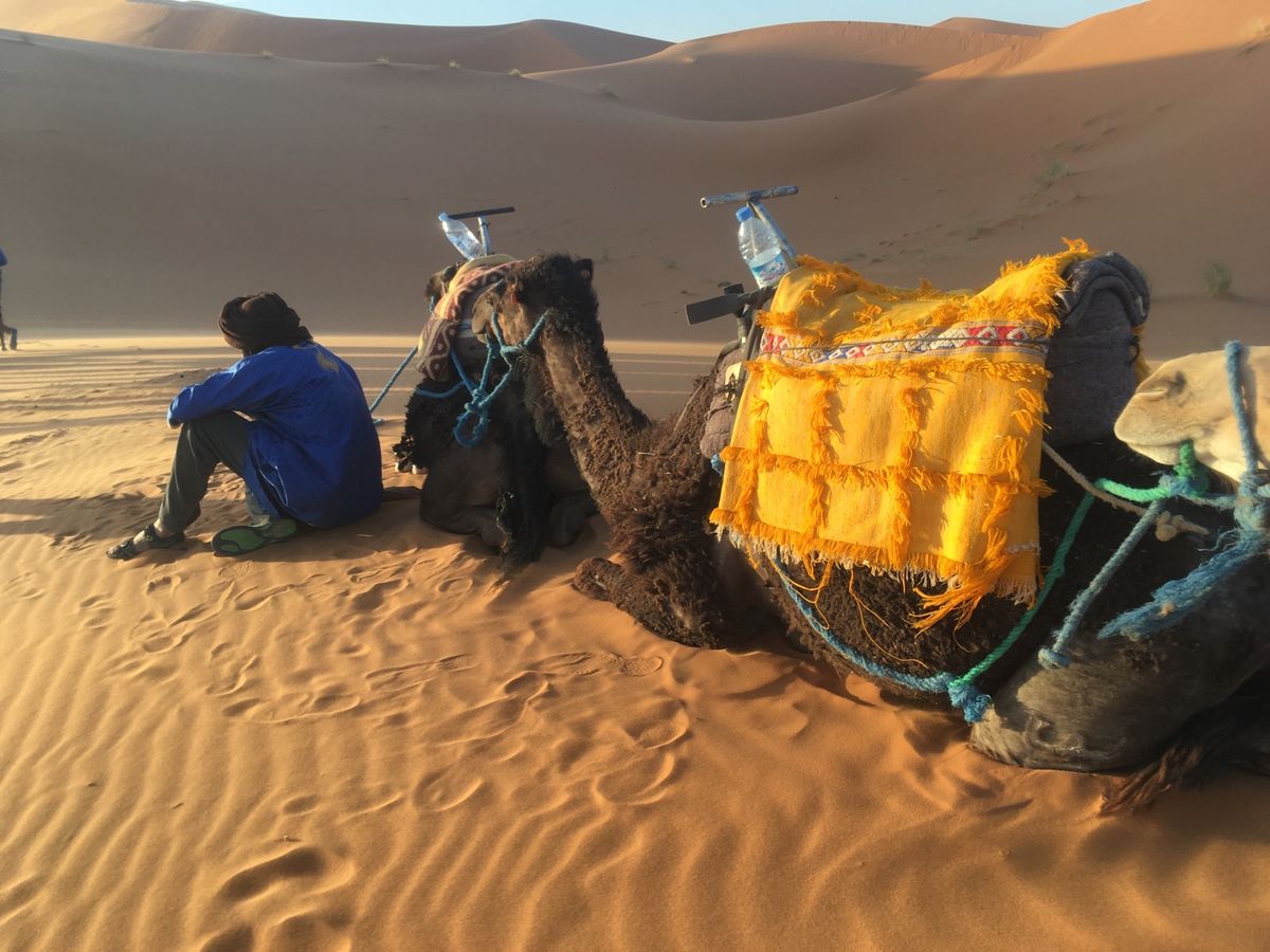 メルズーガ。サハラ砂漠でテント泊。かなり久しぶりにラクダにのってお尻が痛く...