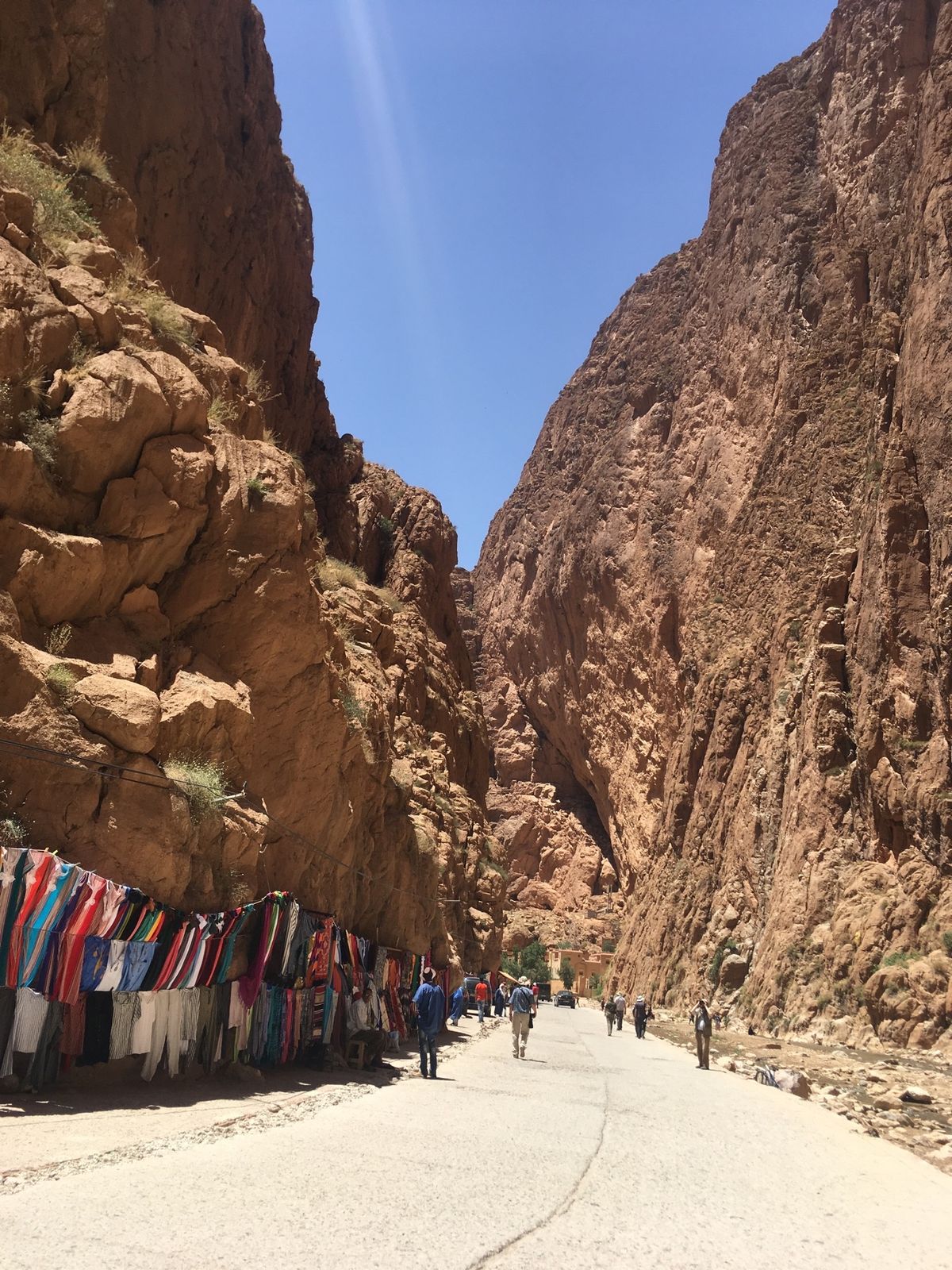 店から飛び出してるラクダちゃん達が可愛くて可愛くて。