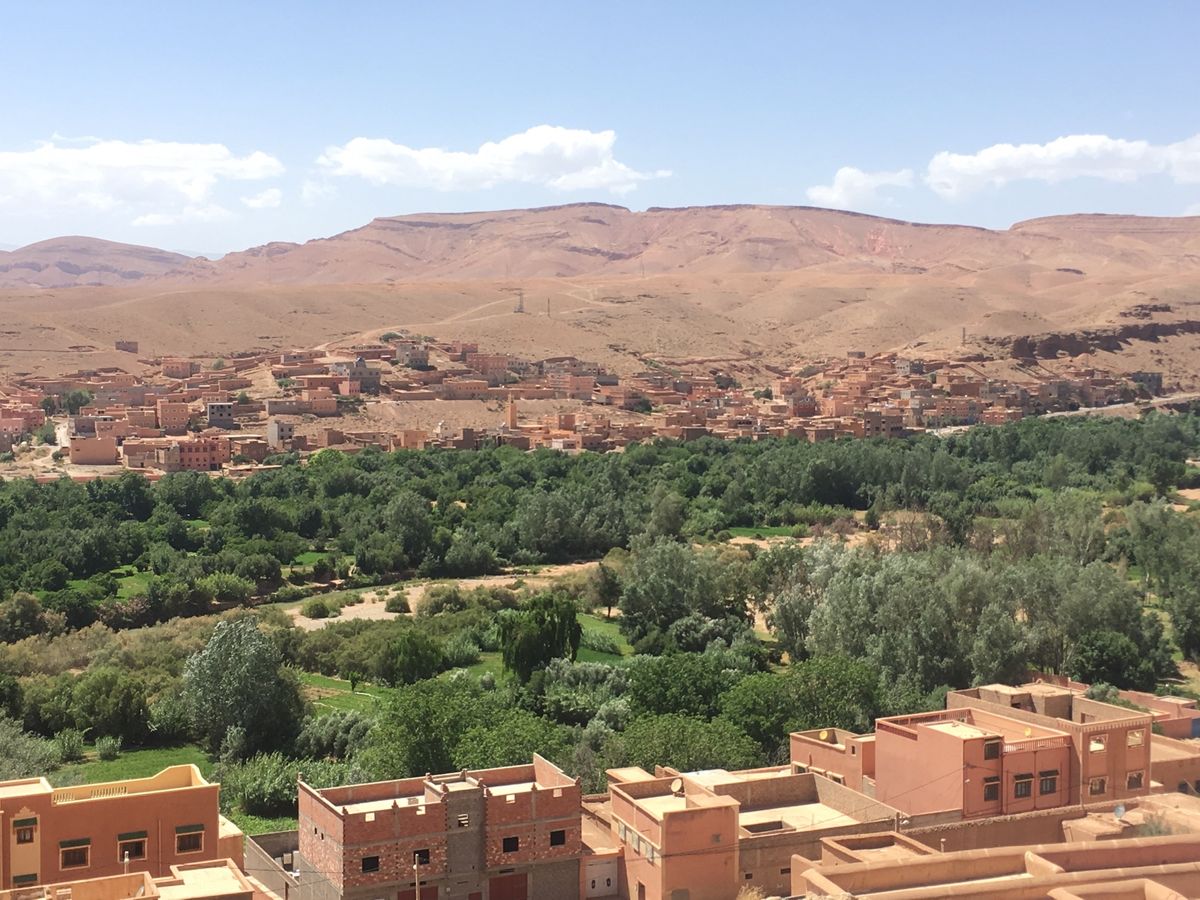 店から飛び出してるラクダちゃん達が可愛くて可愛くて。