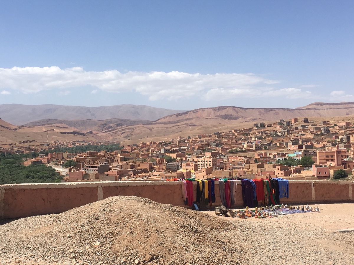 店から飛び出してるラクダちゃん達が可愛くて可愛くて。