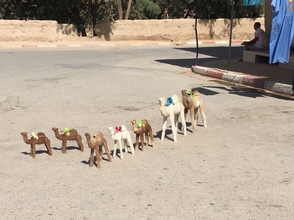 モロッコ「サラーム！Morocco」の写真：店から飛び出してるラクダちゃん達が可愛く...