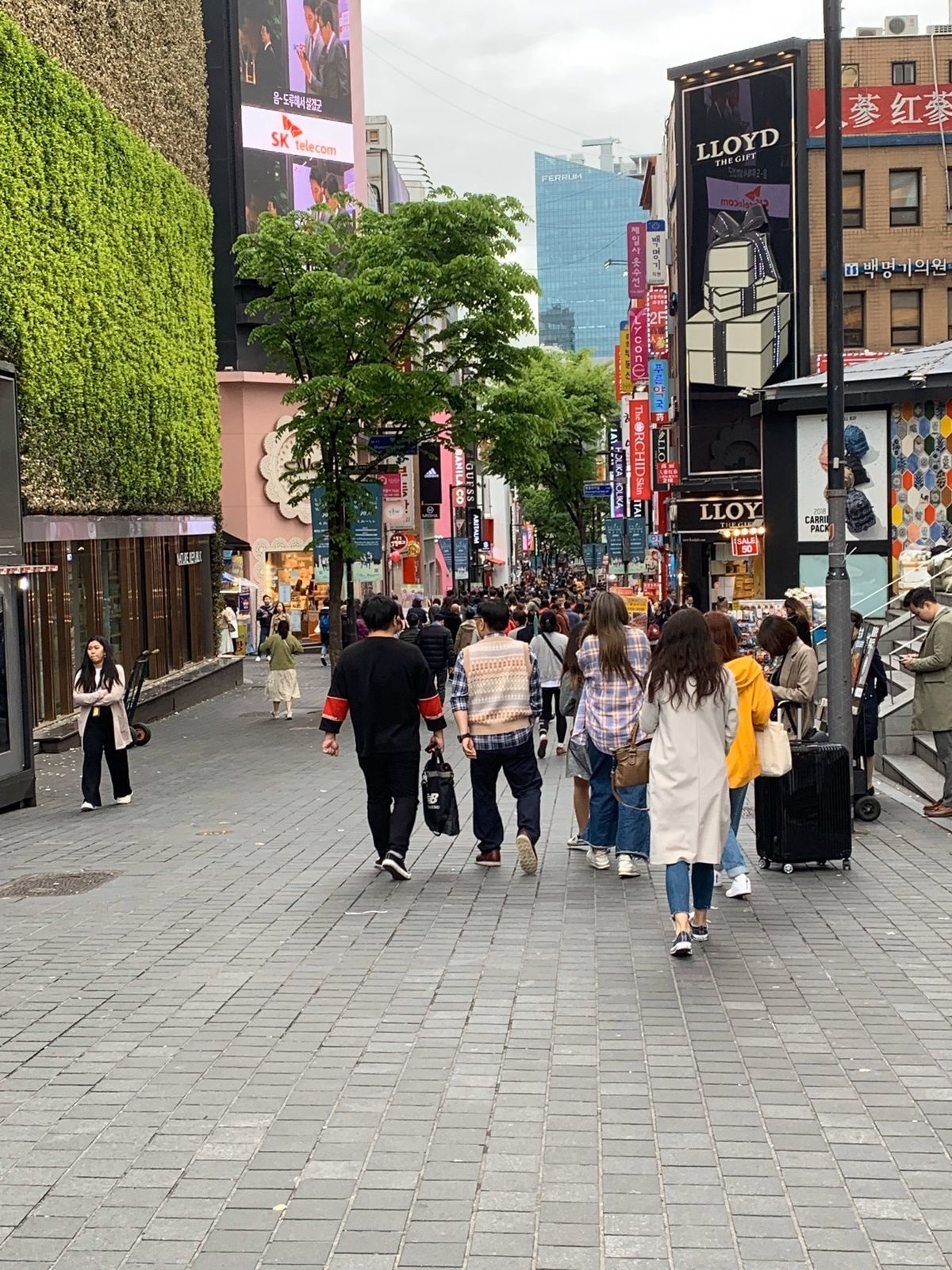 ソウルで宿泊したホテル🏨
パシフィックホテル
明洞